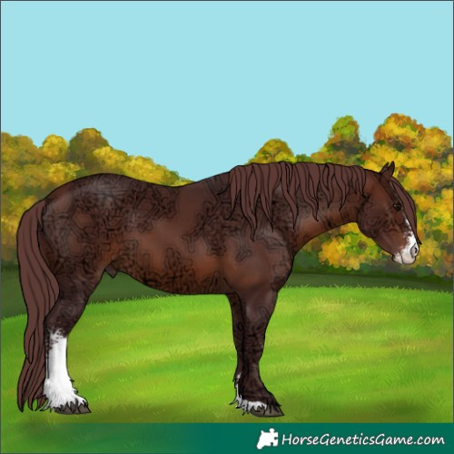 Horse Color:Chocolate Brown Ice Sabino 