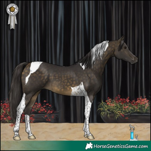 Horse Color:Buckskin Tobiano 