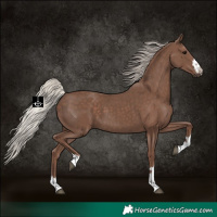 Horse Color:Silver Black 