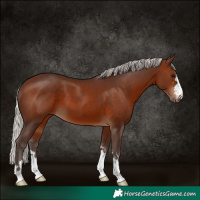 Horse Color:Silver Brown