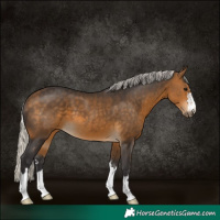 Horse Color:Silver Buckskin 