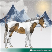 Horse Color:Silver Buckskin Tobiano 