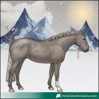 Horse Color:Silver Grullo 