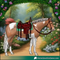 Horse Color:Silver Bay Tobiano 