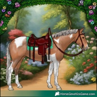 Horse Color:Silver Bay Tobiano