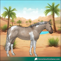 Horse Color:Silver Brown Dun Tobiano 