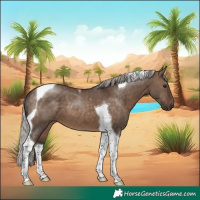 Horse Color:Silver Brown Dun Tobiano 