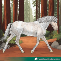 Horse Color:White Spotted Silver Smoky Creme Roan