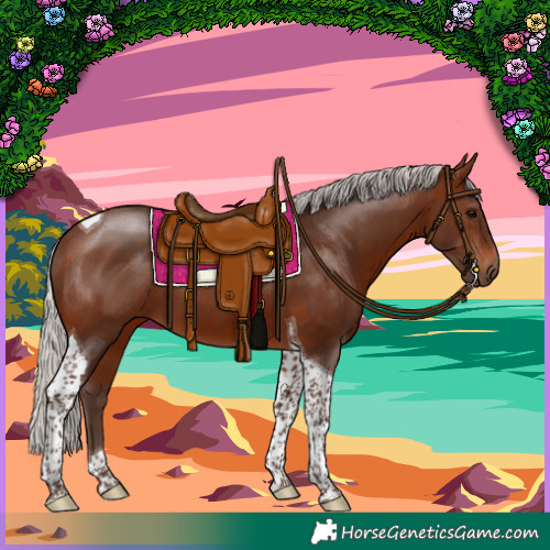 Horse Color:Silver Brown Tobiano 