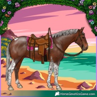 Horse Color:Silver Brown Tobiano 