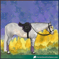 Horse Color:White Spotted Silver Buckskin Appaloosa