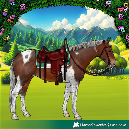 Horse Color:Silver Brown Tobiano 