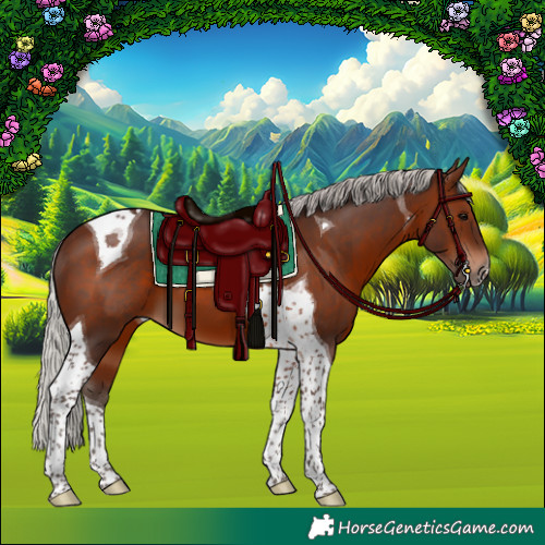 Horse Color:Silver Brown Tobiano 