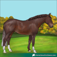 Horse Color:Chocolate Brown 
