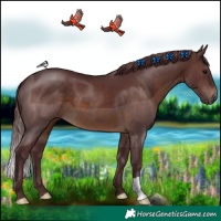 Horse Color:Chocolate Brown 