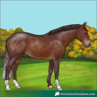 Horse Color:Chocolate Brown 