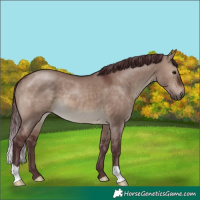 Horse Color:Chocolate Brown Dun