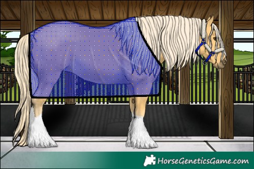 Horse Color:Palomino 