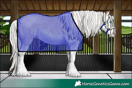 Horse Color:Cremello Splash 