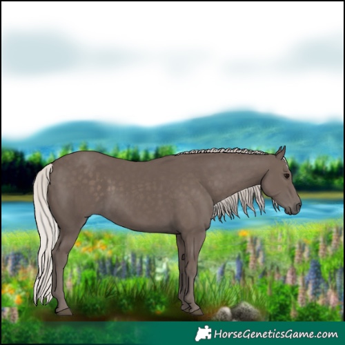 Horse Color:Silver Black 