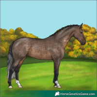 Horse Color:Brown Dun Brindle 