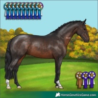 Horse Color:Brown 