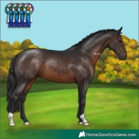 Horse Color:Brown 
