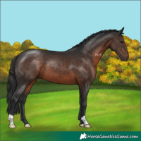 Horse Color:Brown 