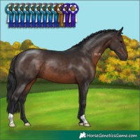 Horse Color:Brown 