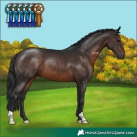 Horse Color:Brown