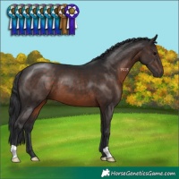 Horse Color:Brown