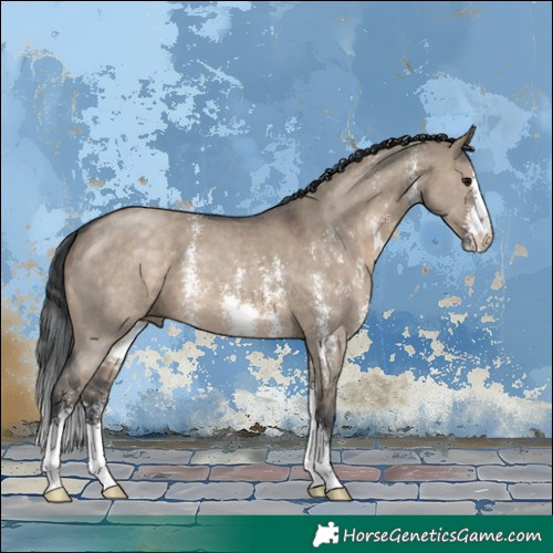 Horse Color:Brown Dun Sabino 