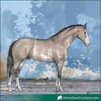 Horse Color:Brown Dun Sabino