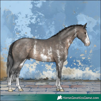 Horse Color:Brown Dun Sabino 