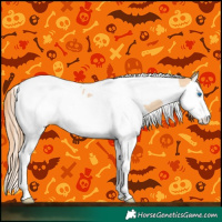 Horse Color:Gold Champagne Dun Splash Tobiano