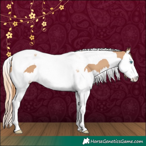 Horse Color:Red Dun Splash Tobiano