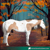 Horse Color:Amber Champagne Splash Tobiano