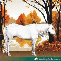 Horse Color:Chestnut Sabino Splash Tobiano Frame 