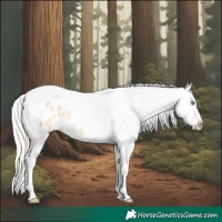 Horse Color:Palomino Dun Splash Tobiano Blanket