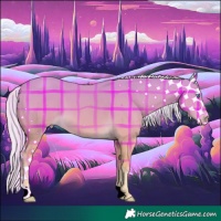 Horse Color:Plaid  Cremello 