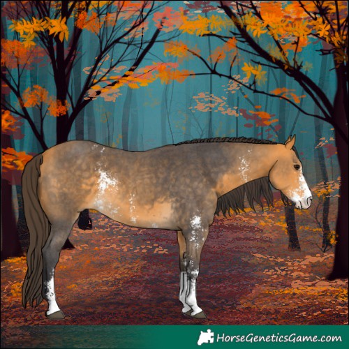 Horse Color:Buckskin Sabino 
