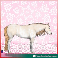 Horse Color:Buckskin Pearl Sabino