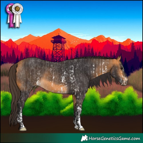 Horse Color:Buckskin Sabino  and Buckskin Sabino 