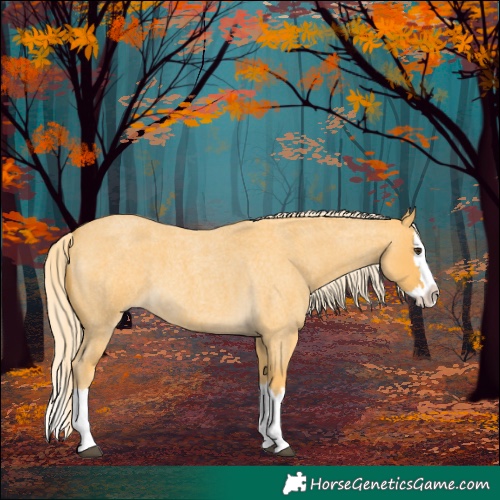 Horse Color:Palomino Roan Splash 