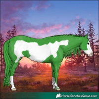 Horse Color:Watercolor Black Frame 