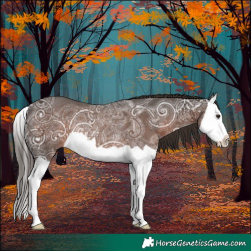 Horse Color:Liver Chestnut Ice Splash Rabicano 