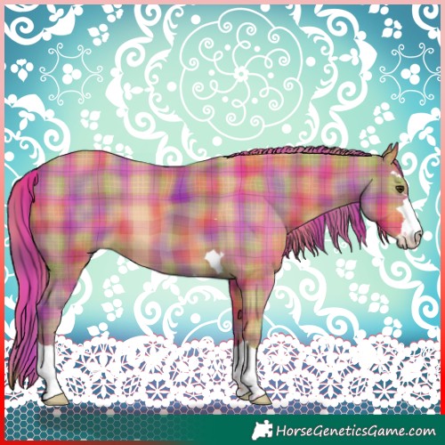 Horse Color:Nacre Plaid  Chestnut 