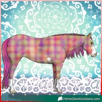 Horse Color:Nacre Plaid Chestnut