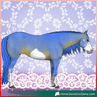 Horse Color:Watercolor Brown Sabino Frame 