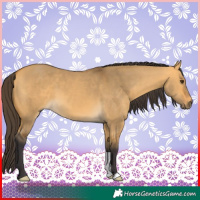 Horse Color:Buckskin Dun